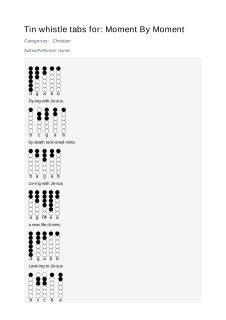 Moment By Moment — tin whistle tab