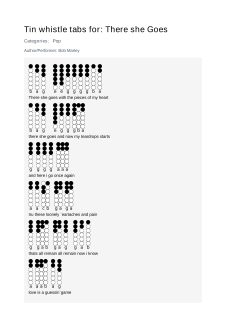 There she Goes — tin whistle tab