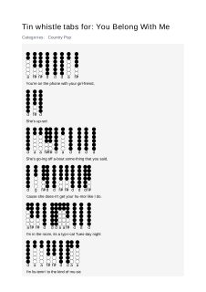 You Belong With Me — tin whistle tab